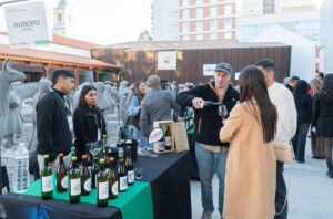 Vinos de altura: 17 bodegas jujeñas se reúnen en el Cabildo